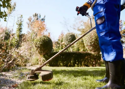 Bahçe & Peyzaj Düzenlemesi